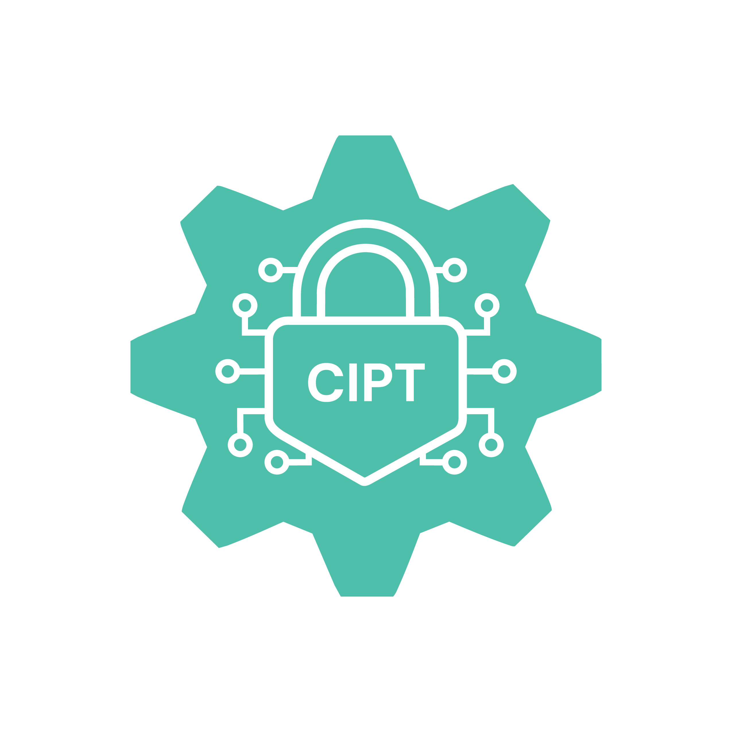 CIPT Practice Exam